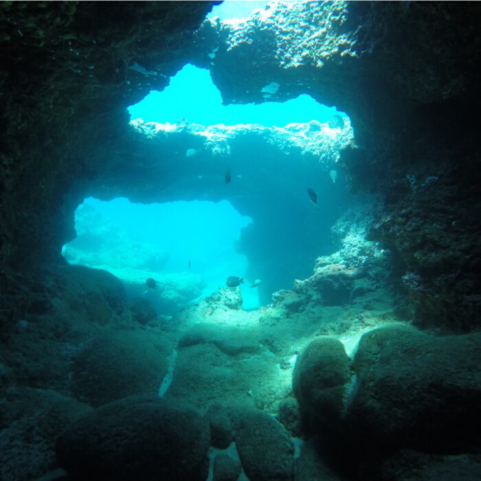 Sharks Cove – Hawaii Dive Center